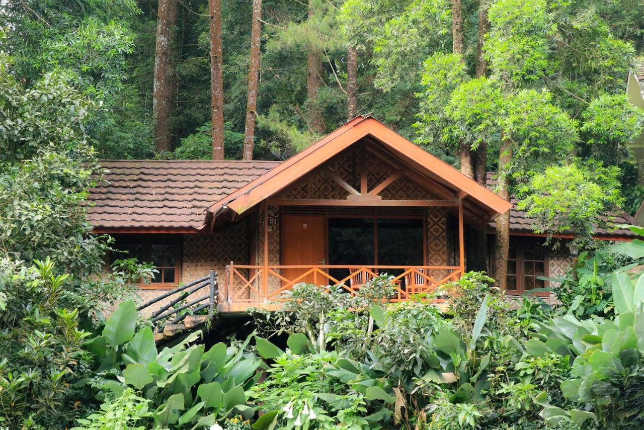Safari Resort Puncak Eksteriør billede